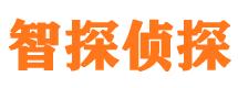 霍林郭勒婚外情调查取证